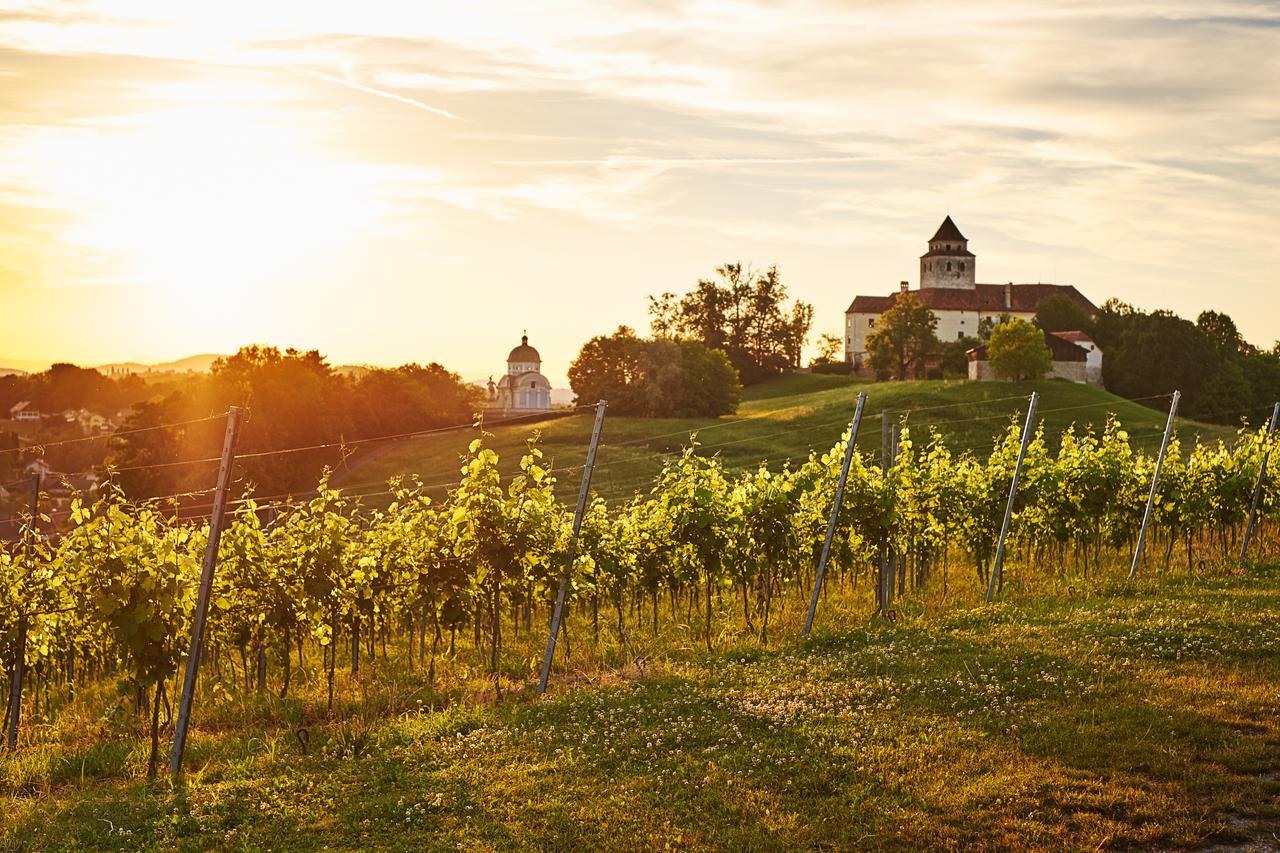 Loisium Wine & Spa Hotel Suedsteiermark Ehrenhausen Luaran gambar