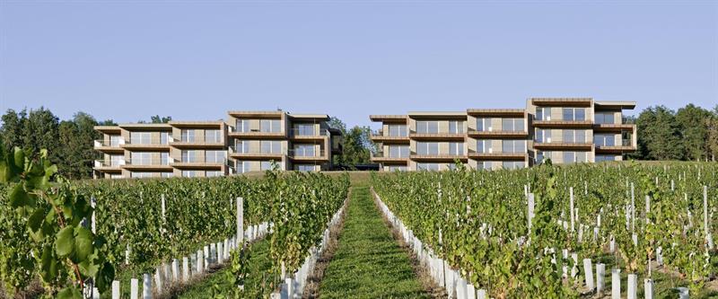 Loisium Wine & Spa Hotel Suedsteiermark Ehrenhausen Luaran gambar